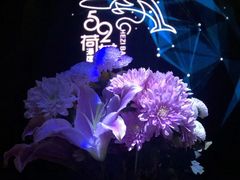 -长沙猫歌音乐餐厅(湖南女子大学店)