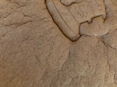 -西村叔叔的店(黄岛青医附院店)