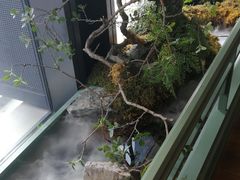 -潮上潮(南中环店)