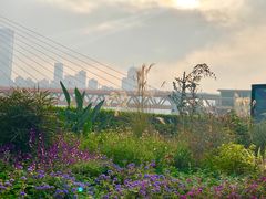 -重庆市江北嘴中央商务区中央公园