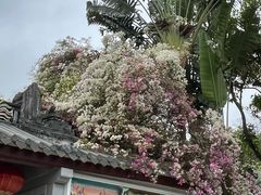 -深圳国际园林花卉博览园