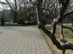 -玲珑塔公园