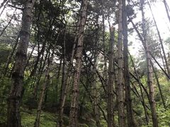 -黄崖洞文化旅游区