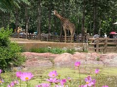 -大连森林动物园