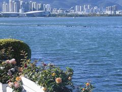 -大理洱海
