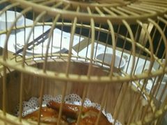 -胡桃里音乐餐厅(陶溪川店)(川湘赣菜·世界百大酒庄直供红酒·音乐表演)