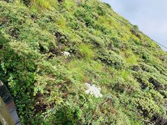 -终南山国家森林公园