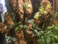 -喜艾堂艾灸馆(世贸天阶店)