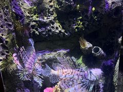 -太平洋海底世界