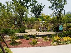 -上海长兴岛郊野公园