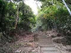-广州市帽峰山景区