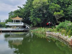 -荔枝公园(福田区)
