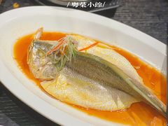 清蒸东海大黄鱼-鹊玥·粤菜小馆(汇智国际商业中心店)