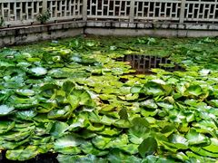 -晓港公园