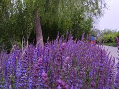 -北运河水利风景区