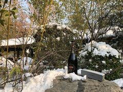 -楼观道温泉酒店