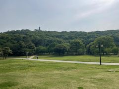 -苏州上方山国家森林公园
