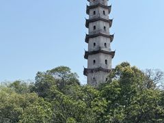 -江心屿景区
