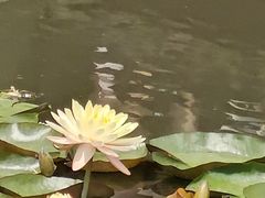 -西湖游船