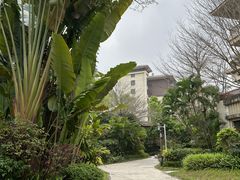 -碧桂园润杨溪谷温泉酒店