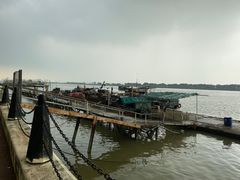 -大湾区中央湿地公园-十九涌