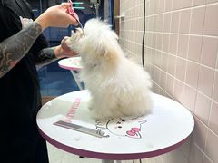 -FAELING PETS美天灵宠物(富力广场店)