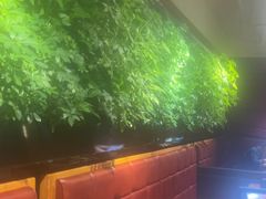 -巴奴毛肚火锅(广益哥伦布店)