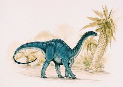 -恐龙探索乐园(磁器口店)