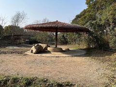 -宁波野生动物园