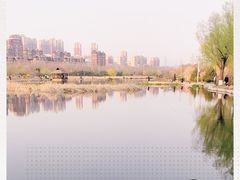 -前关湿地公园