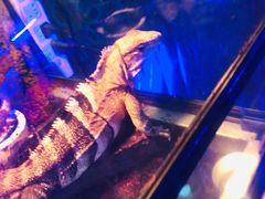 -荆州中山公园动物园