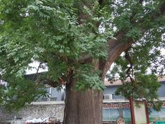 -康陵正德春饼宴26号