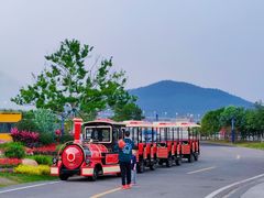 -芒洲湿地公园