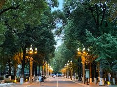 -四川大学(华西校区)