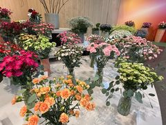 -库肯霍夫公园
