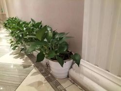 -蕾蕾美颜美容美体