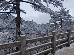 -印象徽州·正宗徽菜体验店