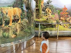 -陕西自然博物馆