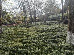 -杭州花家山庄