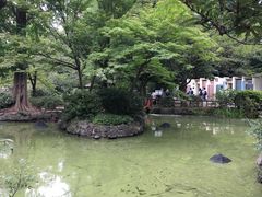 景点-井之头恩赐公园