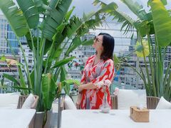 -天空花园餐吧·生日·团建(南山店)