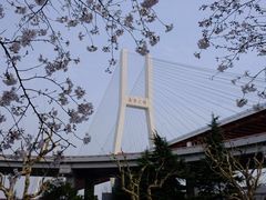 -上海南浦大桥长途旅游客运站