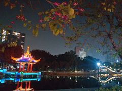 -金砂公园