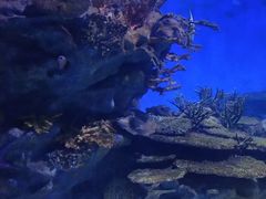 -海合安武汉极地海洋公园