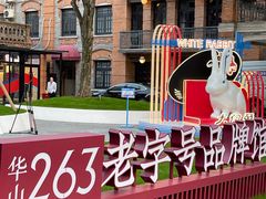 -华山263老字号品牌馆