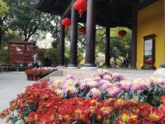 -常熟方塔园