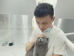-极木²邸 人与宠物·互动社区