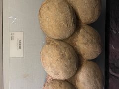 -湖南省地质博物馆