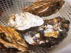 -四海蒸鲜蒸汽海鲜自助(北戴河店)