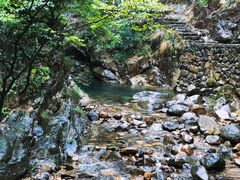 -大奇山国家森林公园